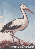 Урок 1. РИСУЕМ АИСТА И СЛОНИКА.