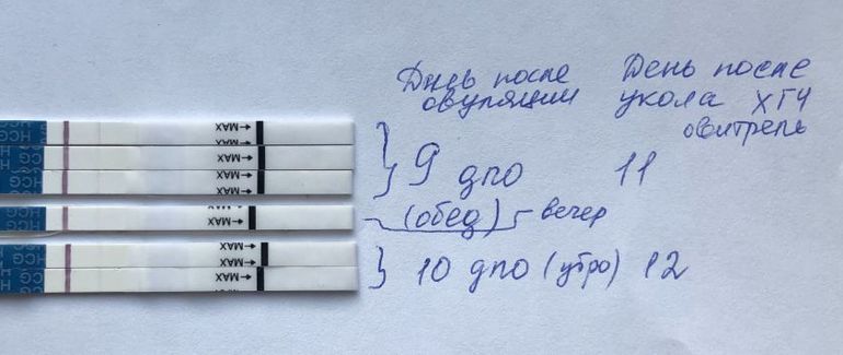 Тест на беременность 4 выхода серий. 7 ДПУ Овитрель. Тесты после Овитрель. 9 ДПО тест. 10 ДПО тест.