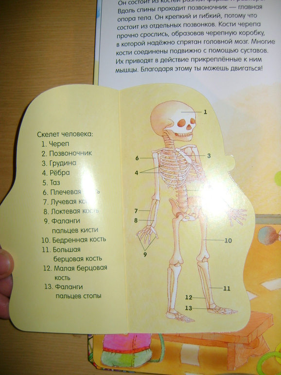 Энциклопедии с секретами