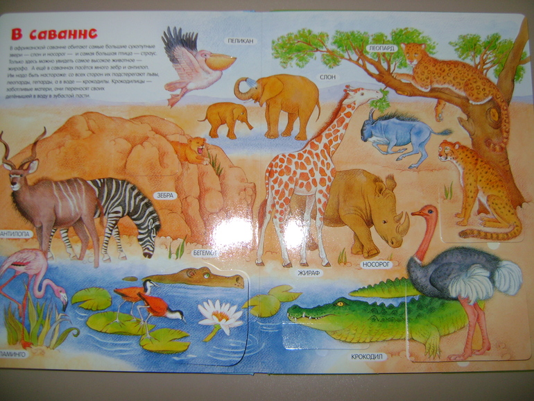 Энциклопедии с секретами