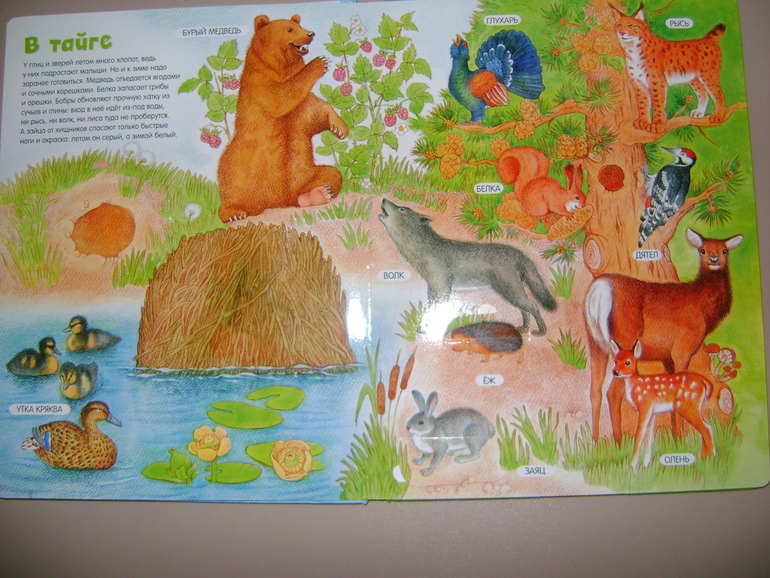 Энциклопедии с секретами