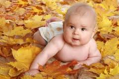 6f0aeb655a96fed4f3fa4f7ca846fee2.jpg