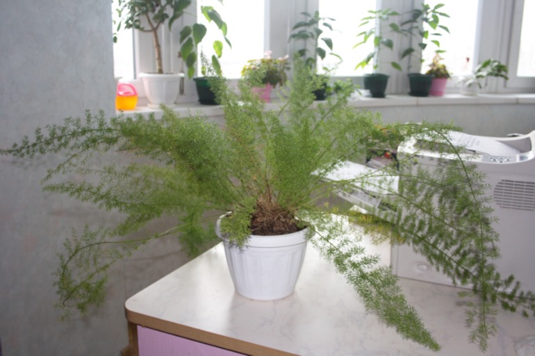 тоже решила похвастаться)