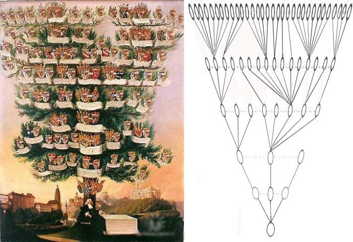 ЧИСТКА РОДА И ПОЛУЧЕНИЕ ПОДДЕРЖКИ И СИЛЫ РОДА