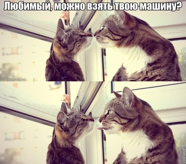 Веселой пятницы!!