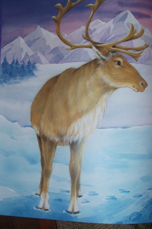 Наше декабрьское пополнение.