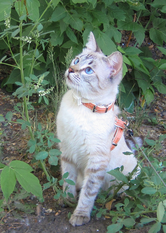 Взлет №67. День 5