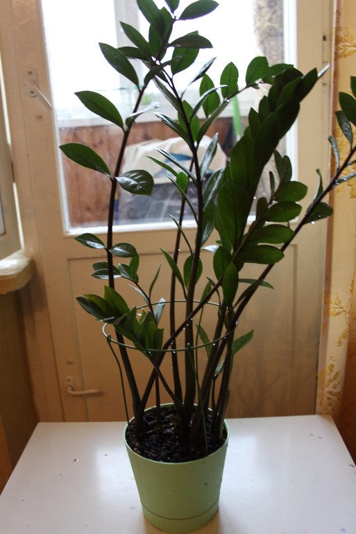 Провела перепись населения.Ну и фото на память.