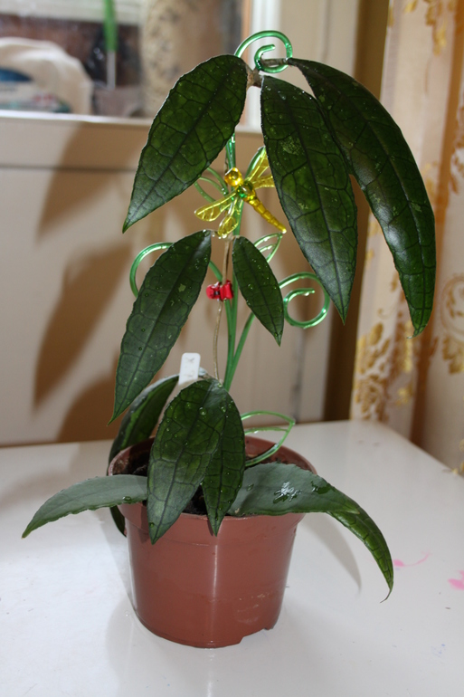 Провела перепись населения.Ну и фото на память.