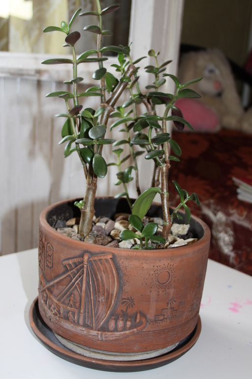 Провела перепись населения.Ну и фото на память.