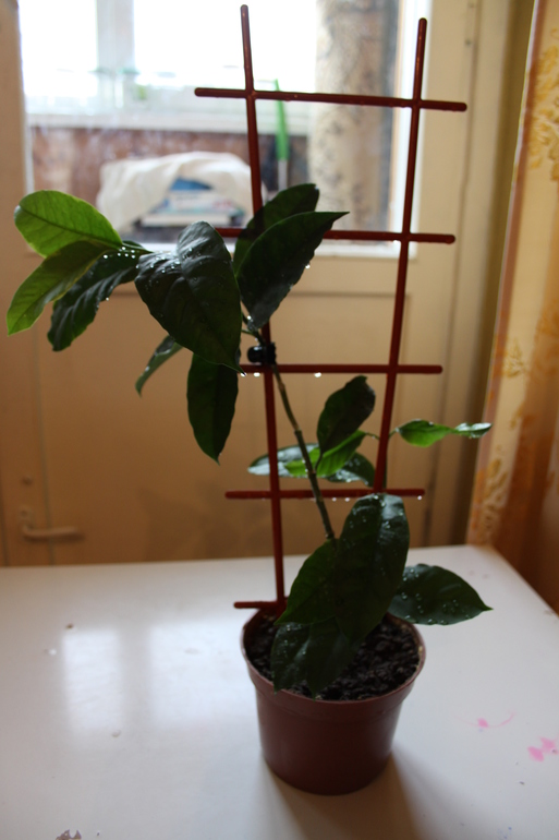 Провела перепись населения.Ну и фото на память.