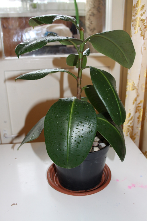 Провела перепись населения.Ну и фото на память.