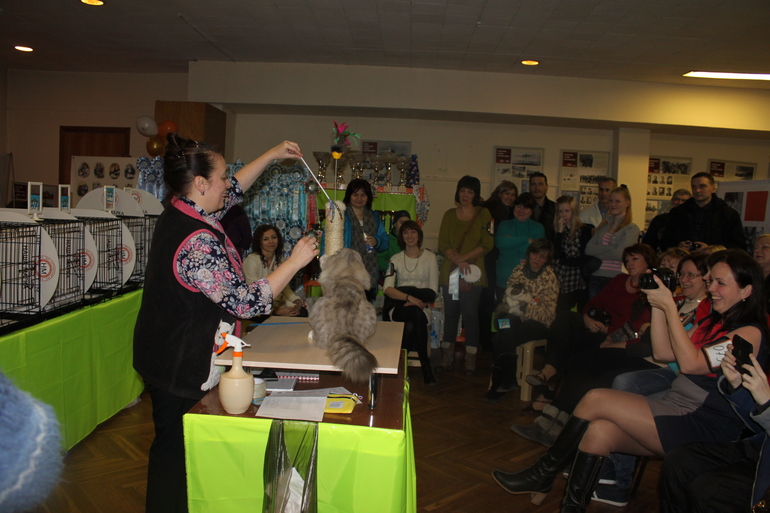 О том, как провели первые 2 недели декабря