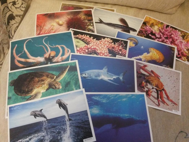 Наше морское