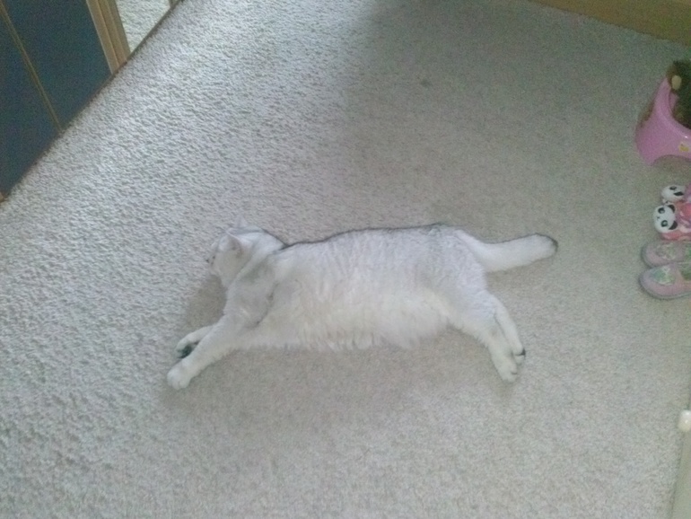 Приглашаю в гости)