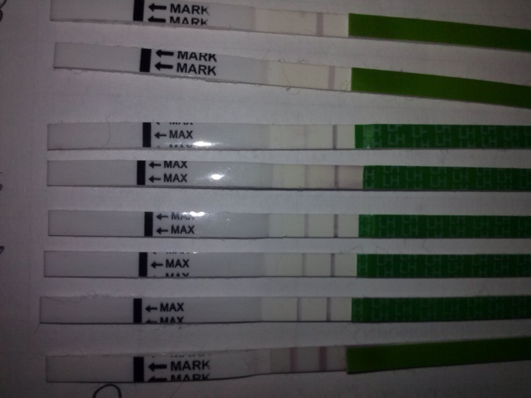 когда она была?