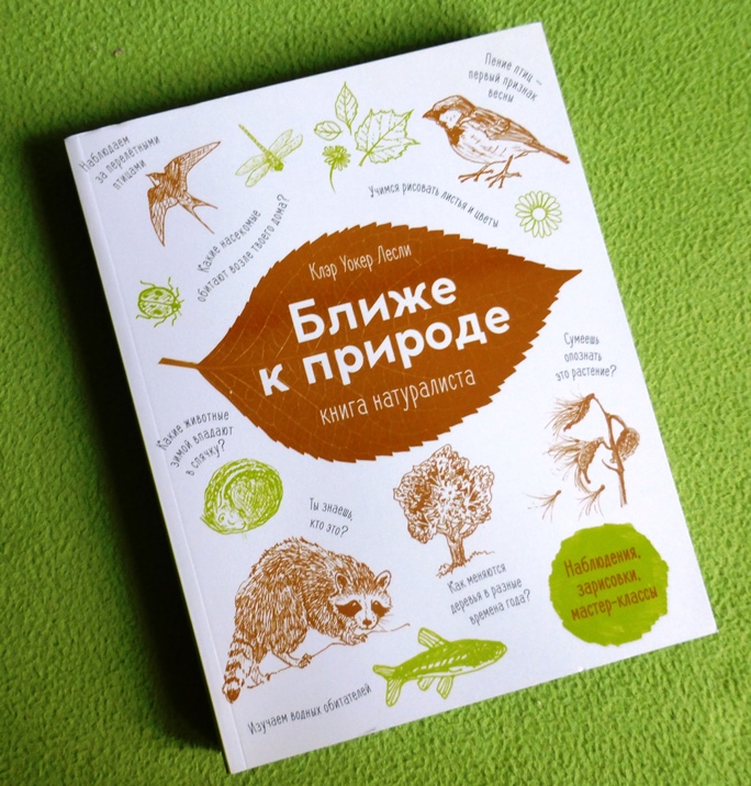 Жалобная книга природы проект