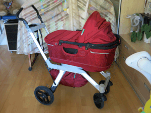 Коляска 2в1 Orbit Baby G2 + автокресло в идеальном состоянии