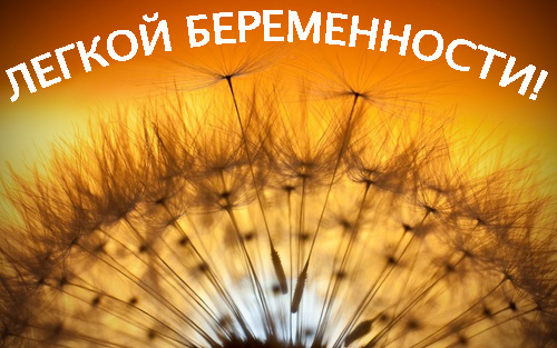 d4cb005ffcd7da46384a9e588b226eb1.jpg