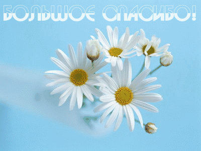 ddb98ba8210fc526a572644f8d345a42.gif