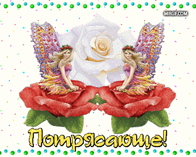 6a8d9dbd753c69fca1d0fa7b1f2ab252.gif