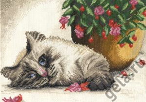 ищу схемку котенка