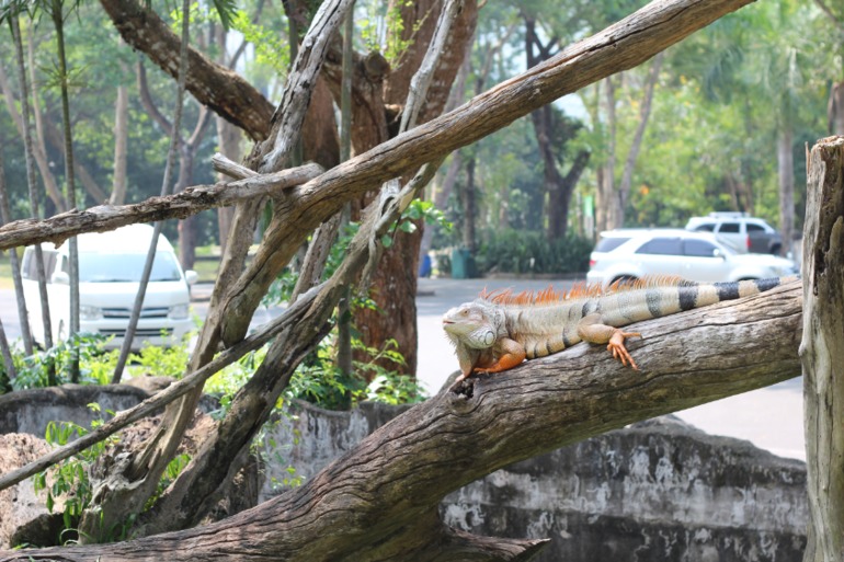 Тайланд зимовка (Джомтьен-Хуахин) 4 месяца. Старт