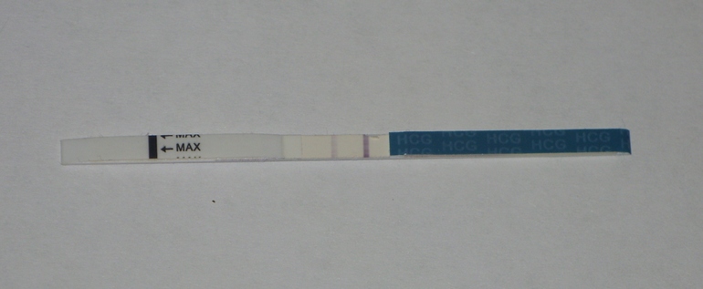 Вторая полоска