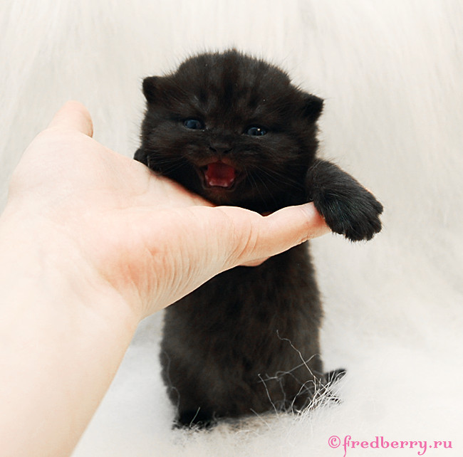 А вот и первые фоточки