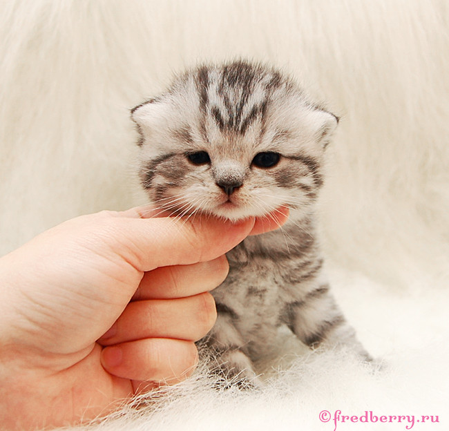 А вот и первые фоточки