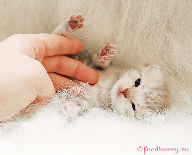 А вот и первые фоточки