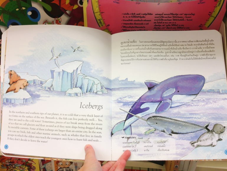 Книжный в Таиланде