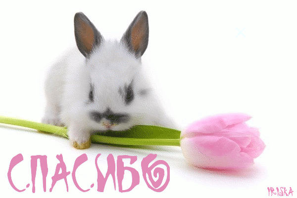 7c8665769322f328f6dda27768351478.gif