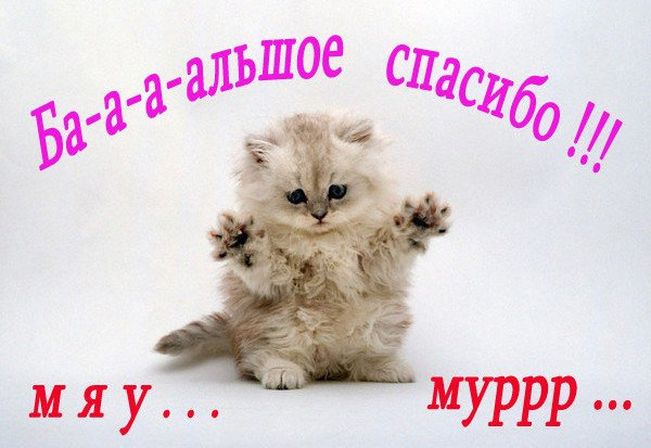 83ca0354407100fb601e02dcbdd6f479.jpg