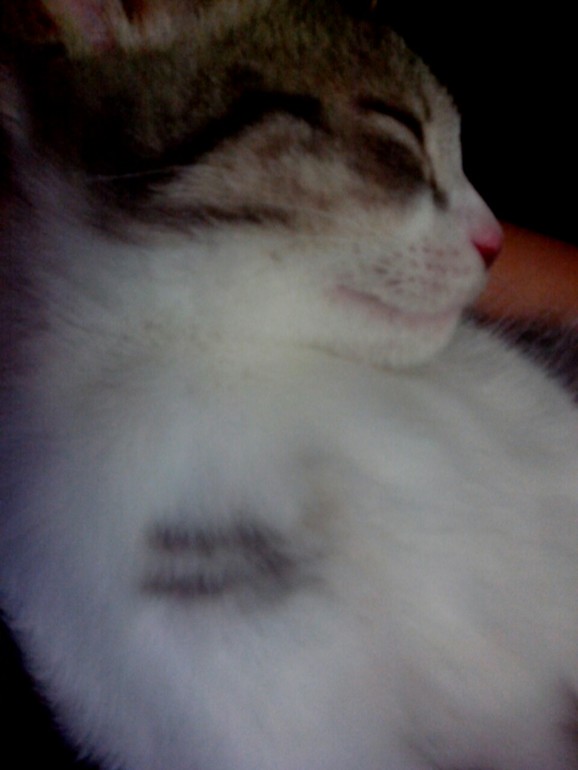 Увидеть знак