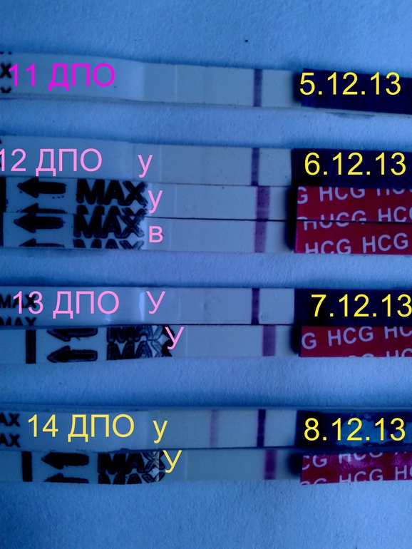 ну что)) готовьтесь к ловле призаразнейших чихов)))))))))))))