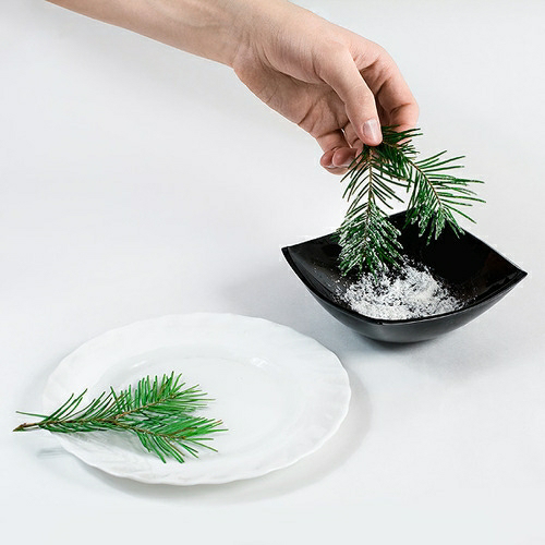 мандариновое дерево