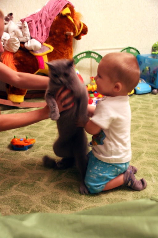 Нам сегодня год!