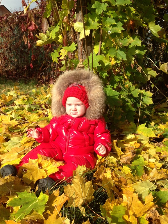 Осенний день. Мороз и солнце.