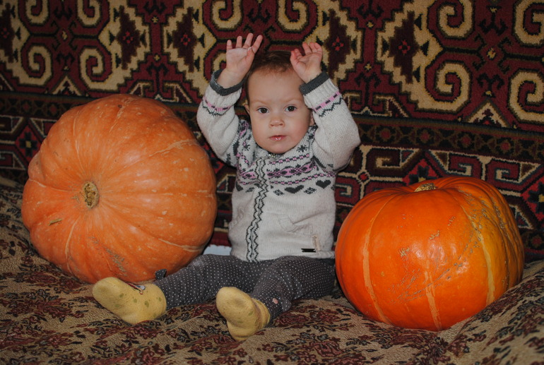 ТН Овощи  1.7 мес