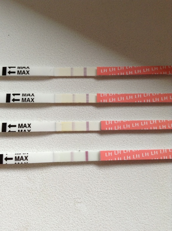 Подскажите дорогие мои???