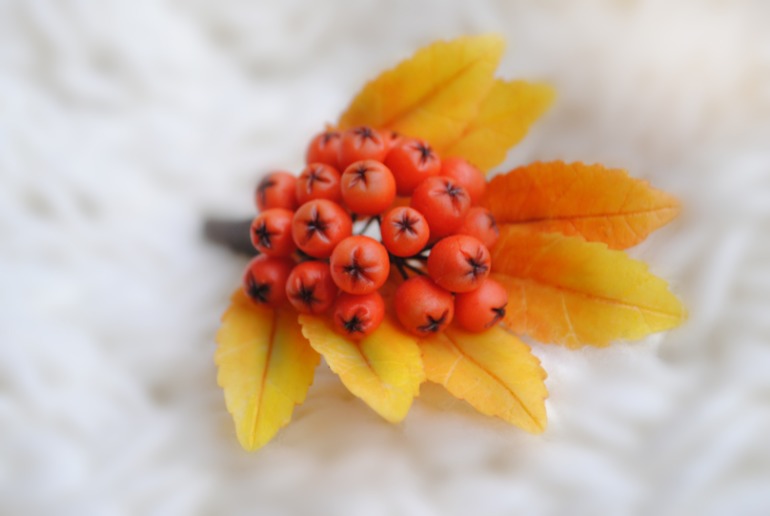 Две брошки-ягодки