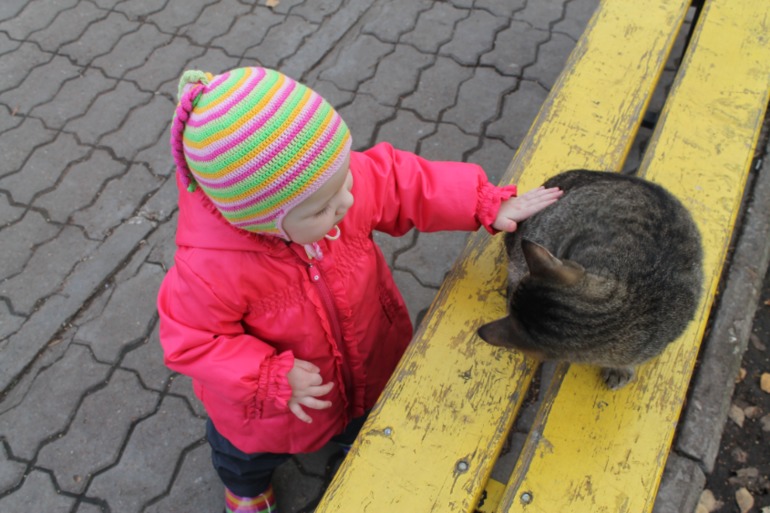 Шапочка на осень