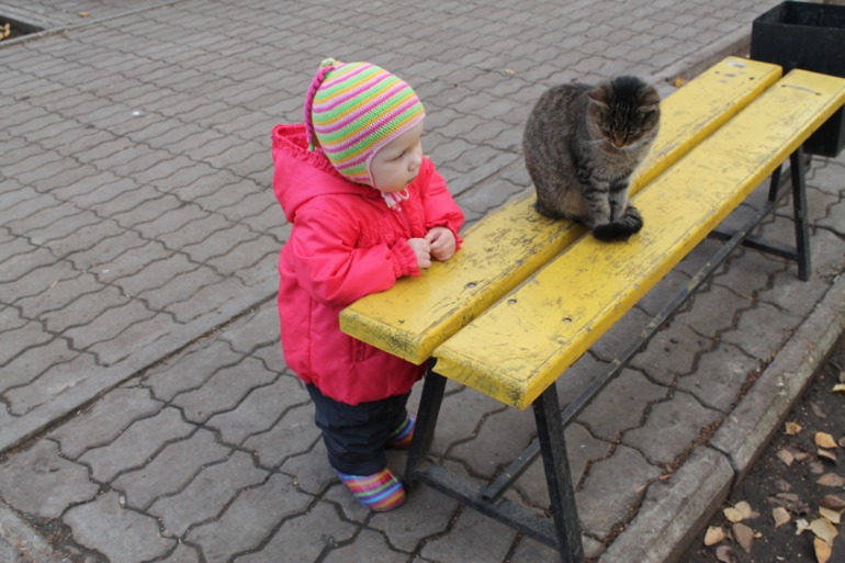 Шапочка на осень