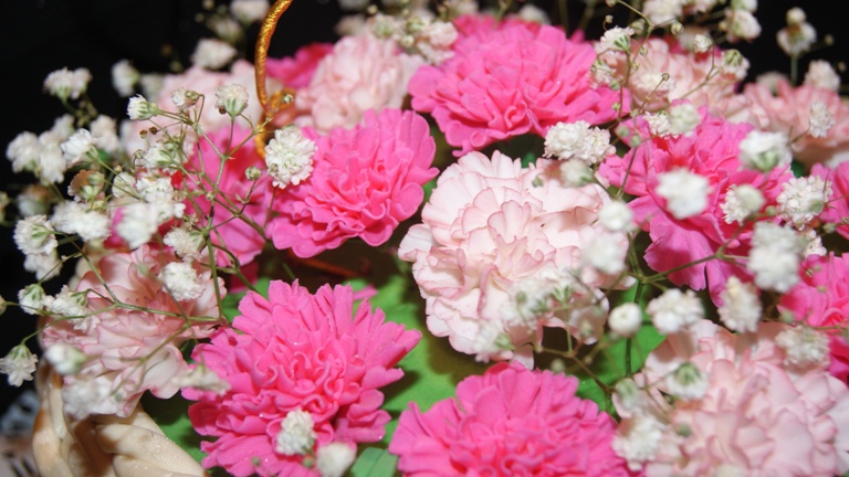 корзинка с гвоздиками