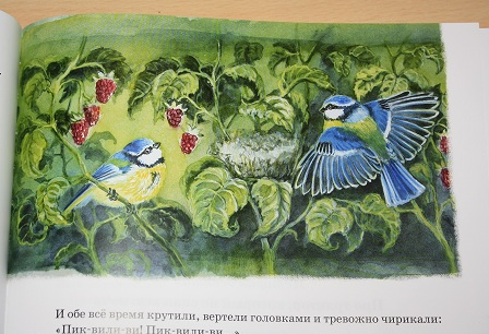 Софья Могилевская