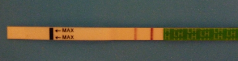 aa1be058d10e286e9edf070185054839.jpg