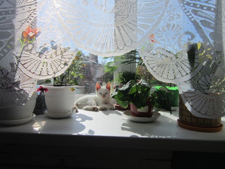 Наш выбражалка. Только фото.Много фото.