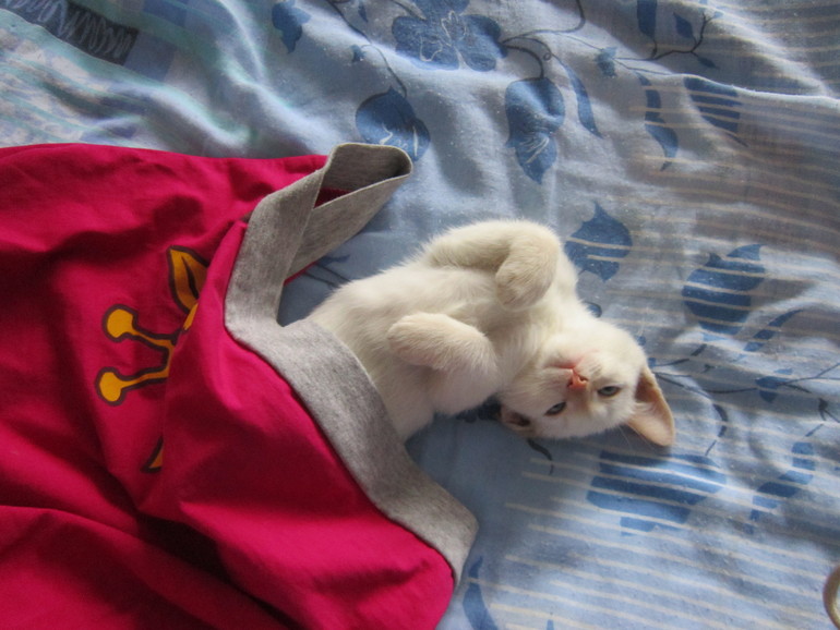 Наш выбражалка. Только фото.Много фото.