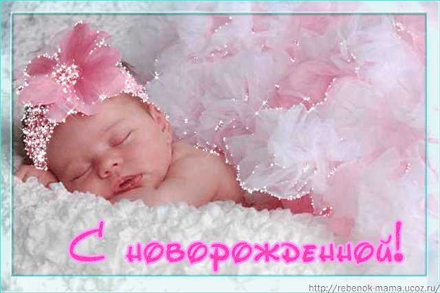 391ee0dc1b3c9fdd42421319f8e0b11b.jpg